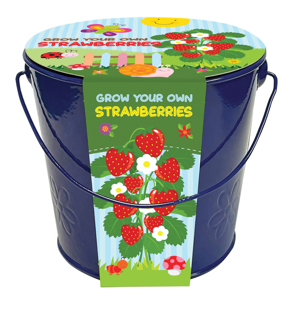 Grow Your Own Strawberries Kids Kit Easy Fun Fruit Seed Bucket Children Gift