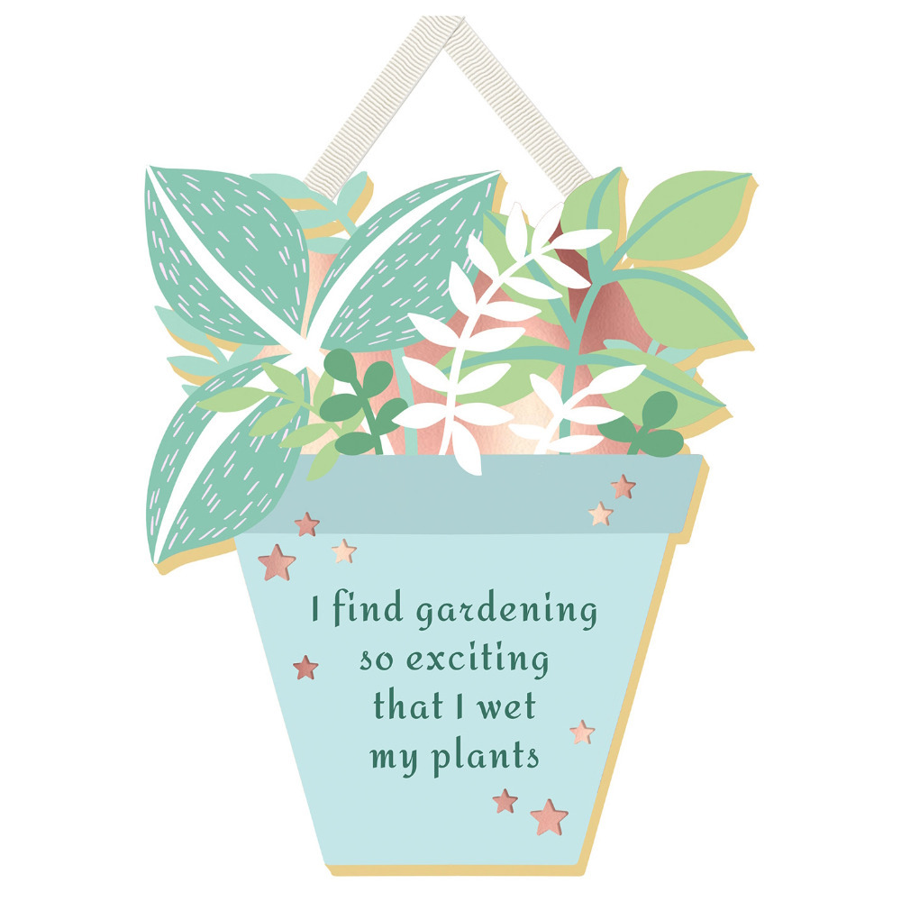 Hanging Plaque Sign Novelty Wall Home Decor Garden Themed Gift So Exciting I Wet My Plants