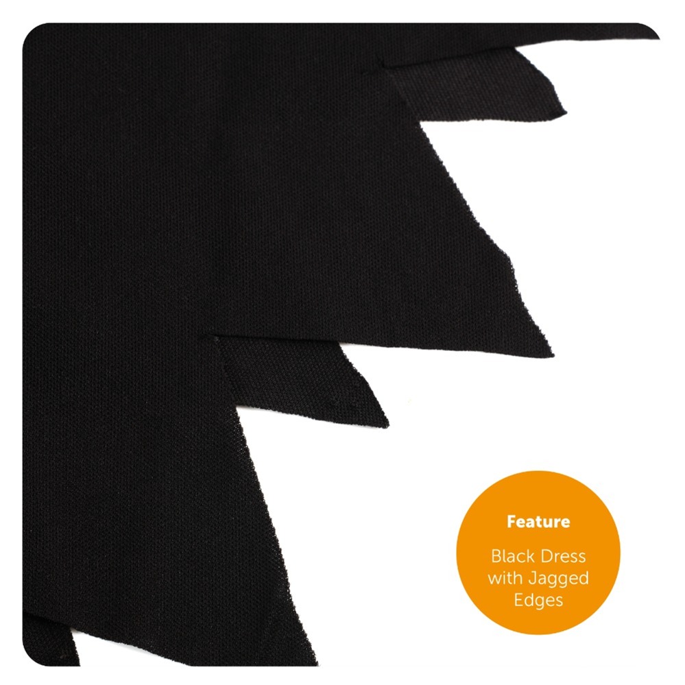 Ladies Spider Witch Costume
