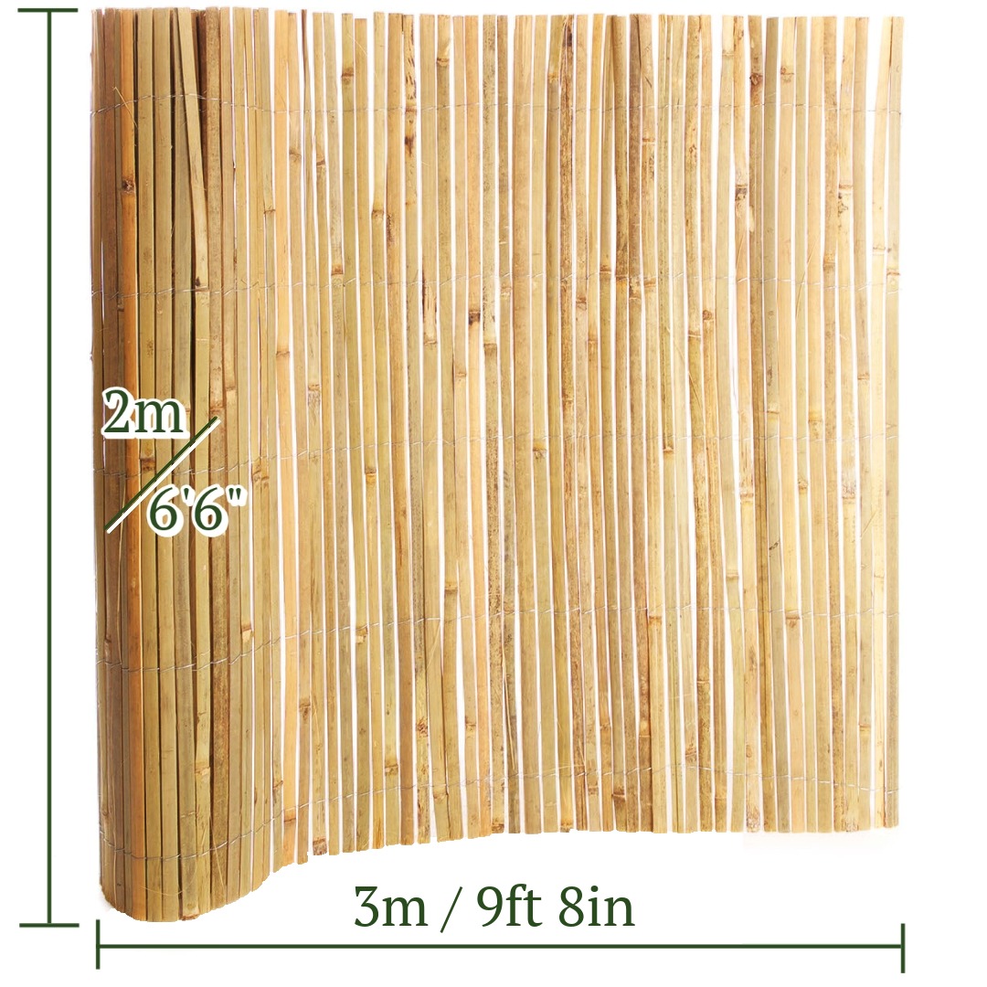 2m bamboo measurements.jpeg
