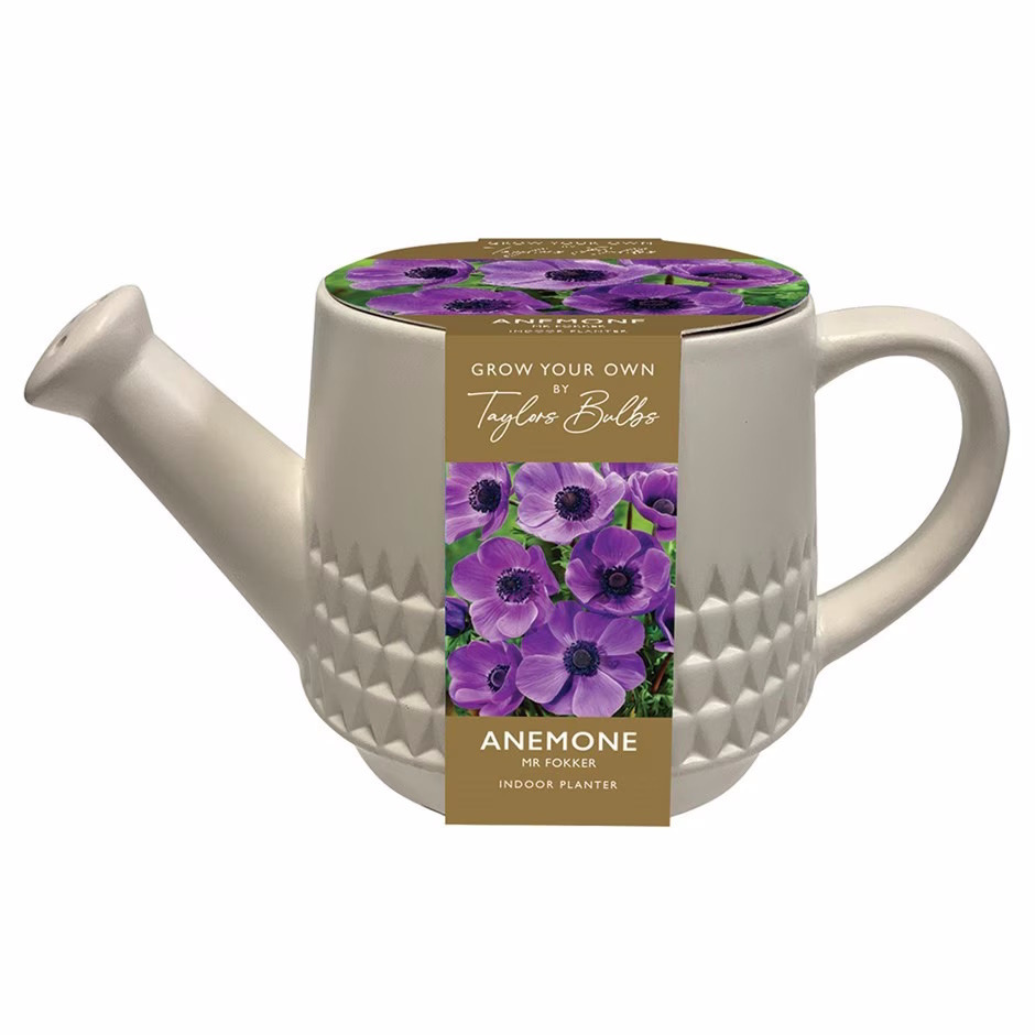 Click to view product details and reviews for Indoor Decorative Anemone Planter.