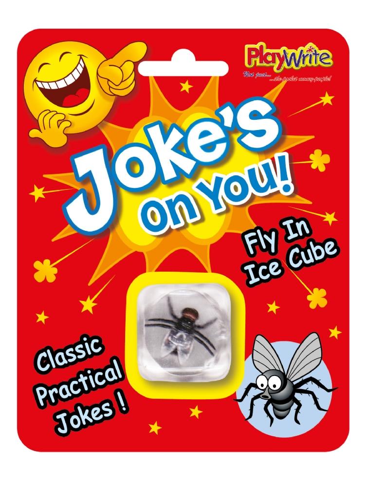 Joke's On You! - Fly Inside Ice Cube