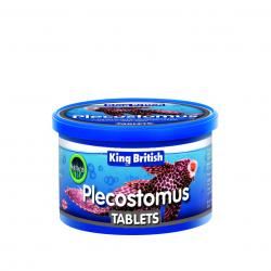 Click to view product details and reviews for King British Plecostomus Tablet Food 60g 782140.