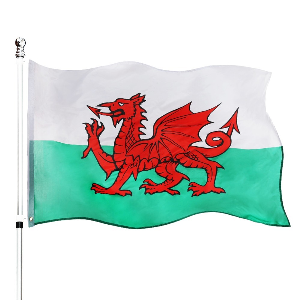 Click to view product details and reviews for Large 5ft X 3ft Welsh Flag Patriotic Support Pack Of 1.