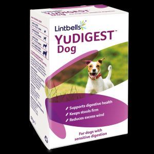Lintbells YuDIGEST Dog (300Tabs) - 20008