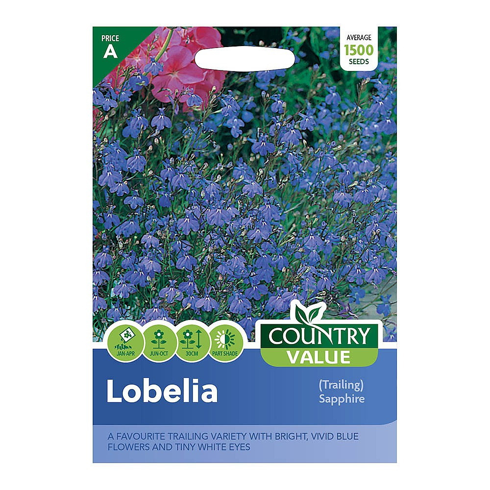 Lobelia Seed Grow Your Own Garden Flower Trailing Sapphire Packet Country Value