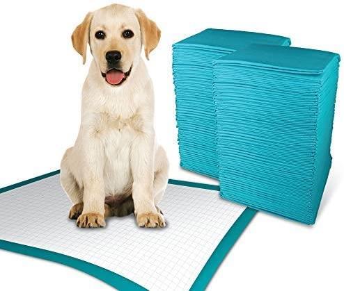 MantraRaj Puppy Pads Pack Of 100 Super Absorbent Puppy Training Pads Anti Slip Dog Toilet Training Pads No Leaking Quick Dry Dog Pads, Dog Pee Pad, Puppy Toilet Training (Large 60cm x 60cm)