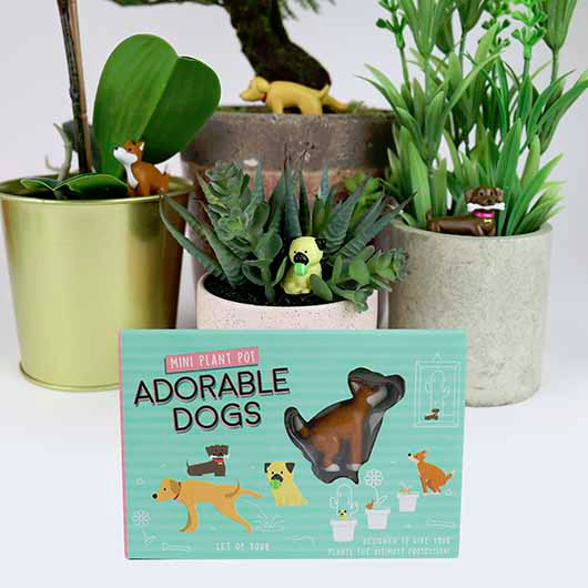 Novelty Plant Pot Markers Planter Funny Decor Garden Ornament Set of 4 Pets Dogs