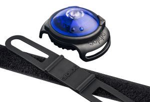 Click to view product details and reviews for Orbiloc Dog Safety Light Blue.