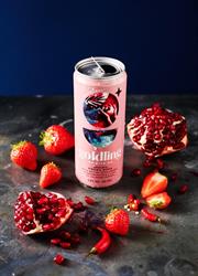 Organic Moonlight Vodka & Soda 4.8%, 330ml can - GLL2