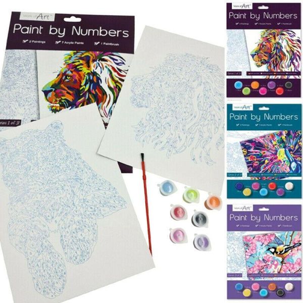 PAINT BY NUMBERS ADULT 2 Pictures 7 Acrylic Paints & Brush Bored at Home Isolate