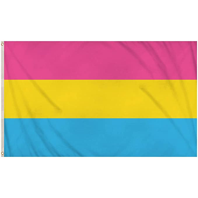 Click to view product details and reviews for Pansexual Flag 5ft X 3ft.