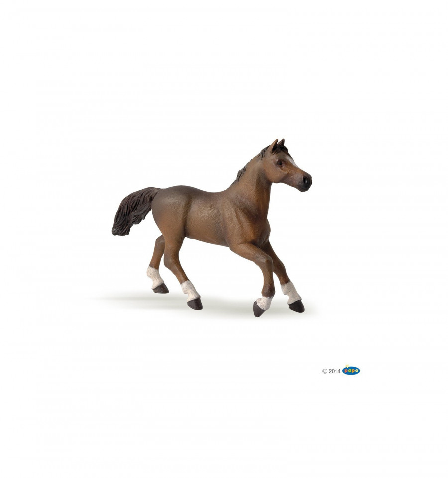 Click to view product details and reviews for Papo Animals Horse Anglo Arab Mare.