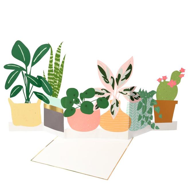Click to view product details and reviews for Potted Plant Concertina Card.