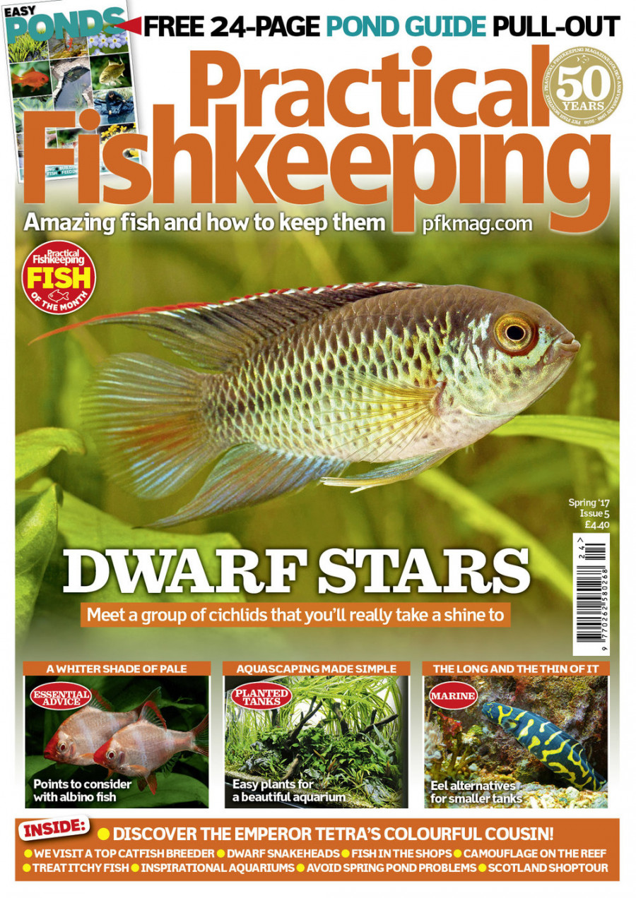 Click to view product details and reviews for Practical Fishkeeping Magazine Spring 2017 Issue 5.