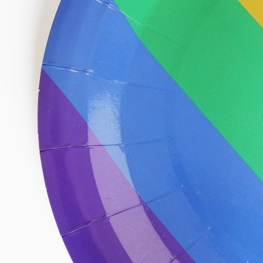 WHOLESALE Pack of 1000 7 Inch Rainbow Pride Disposable Paper Plates