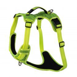 Rogz Utility Ex Harn Dyg xl - 654448