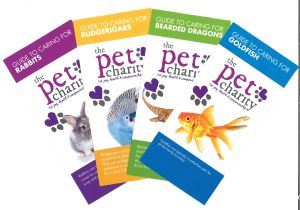 The Pet Charity Guide To Caring For Finch - 77316