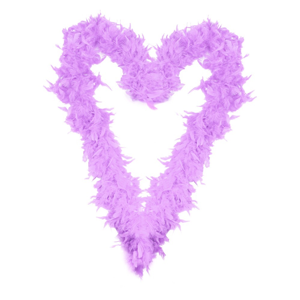 Click to view product details and reviews for Lilac Feather Boa Pack Of 1.