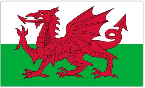 Click to view product details and reviews for Wales Flag 3x5ft Flag Single.