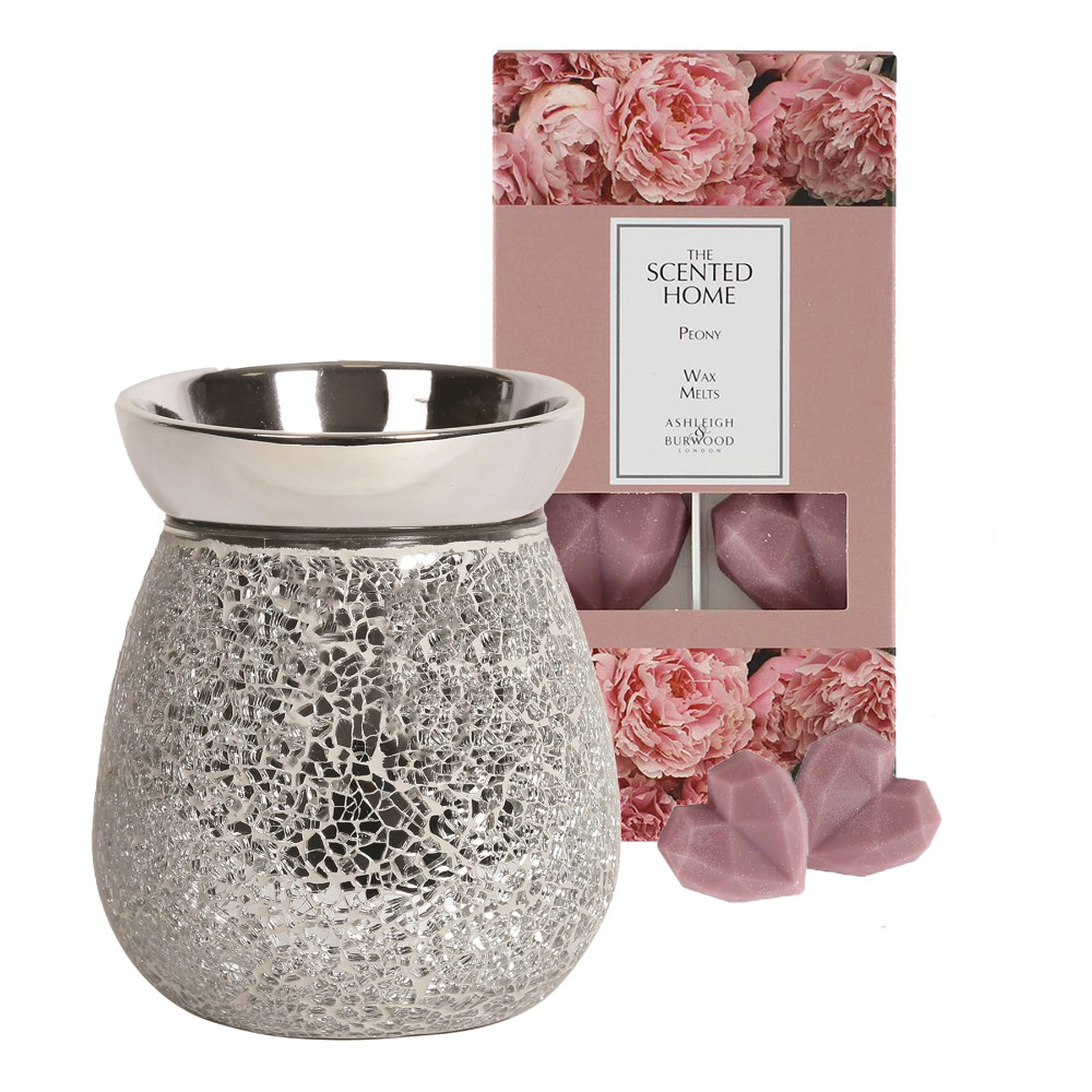 Wax Melt Set With Electric Burner Home Fragrance Gift Silver Crackle - Peony