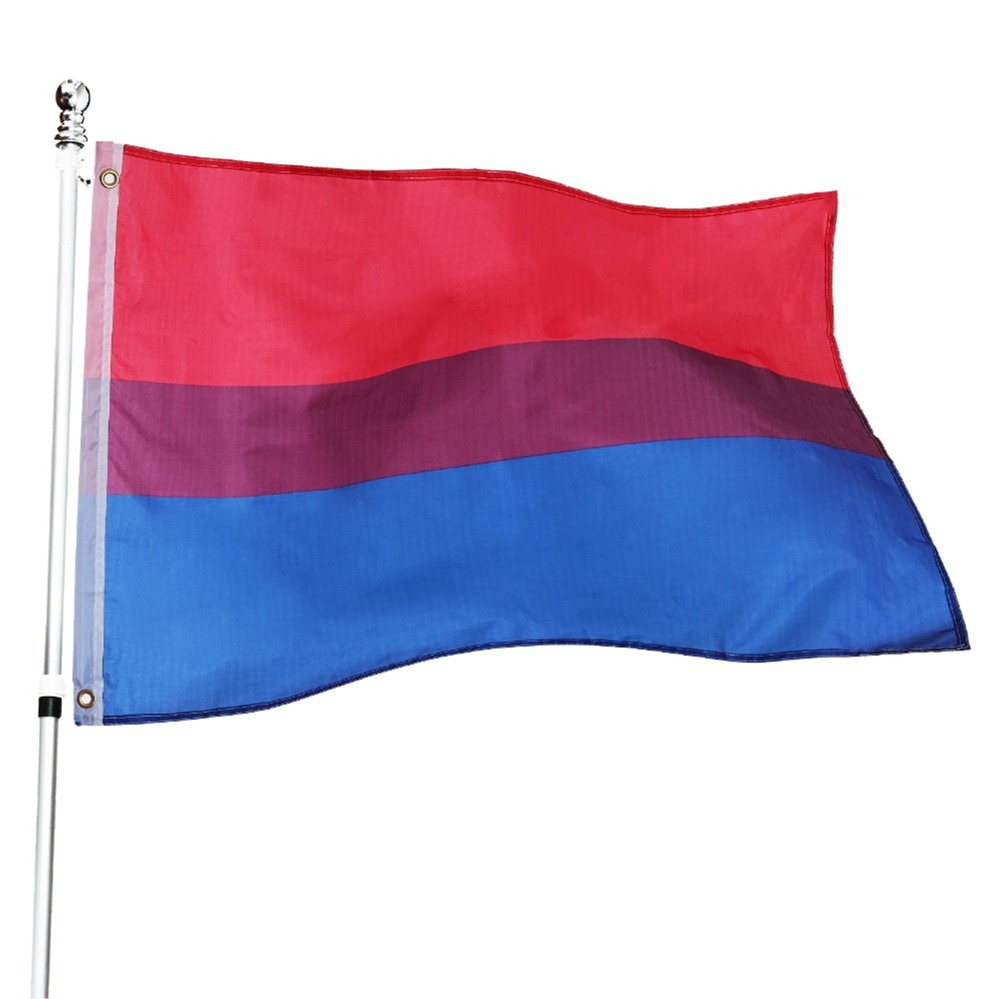 Click to view product details and reviews for Wholsesale Pack Of 200 3ft X 2ft Bisexual Flags.