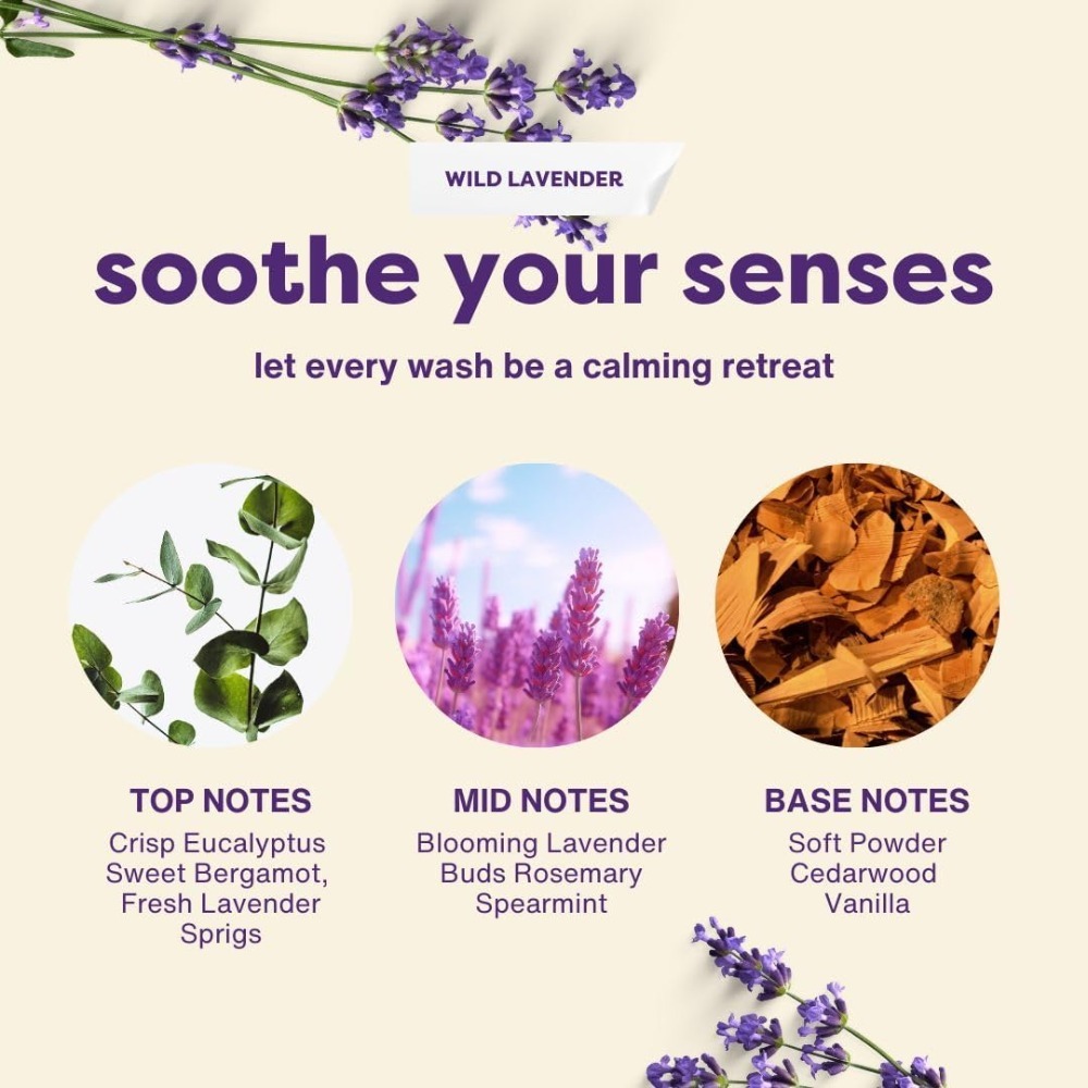 LAUNDREAM Wild Lavender Laundry Detergent Sheets x 60 Loads - Eco-Friendly Swaps Washing Capsules, Washing Liquid, Powder with Plastic-Free, Vegan, Plant-Based Ultra Concentrated Strips